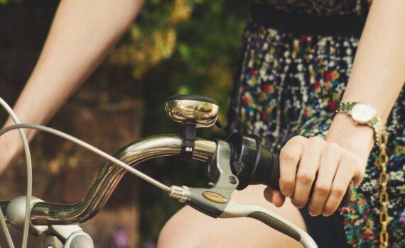 Zu sehen ist das Bild 1 zum Beitrag mit dem Thema: Radtour nach Bamberg geplant